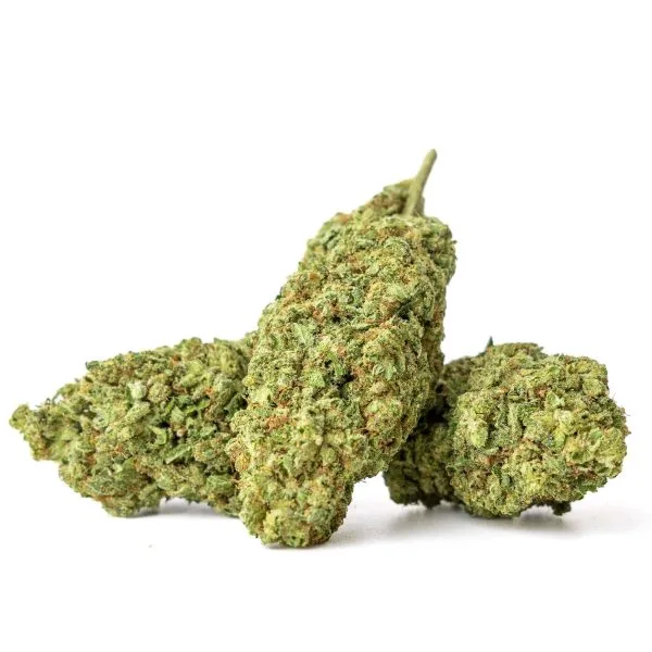 CBD Shop