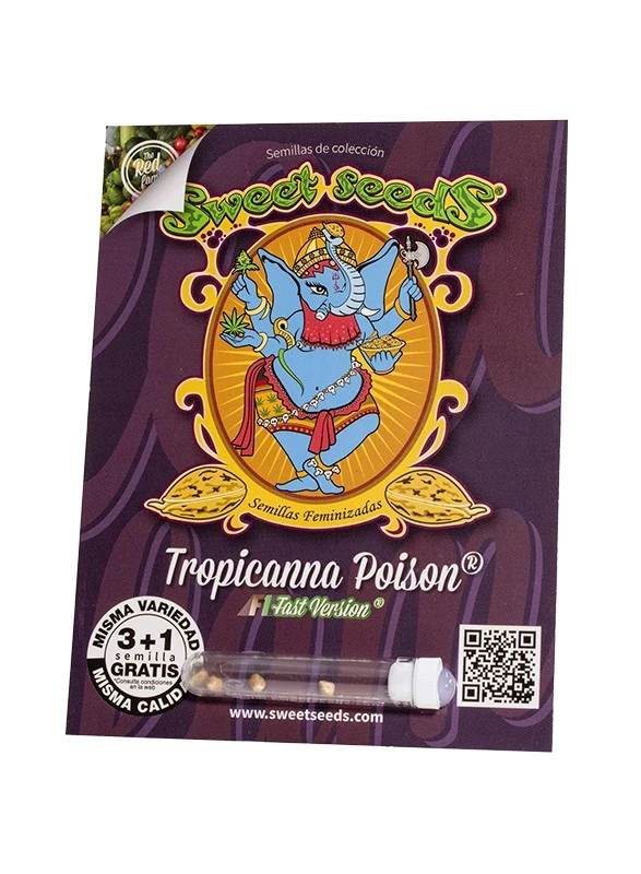 Tropicanna Poison F1 Fast Version® 3 tropicanna poison f1 fast version