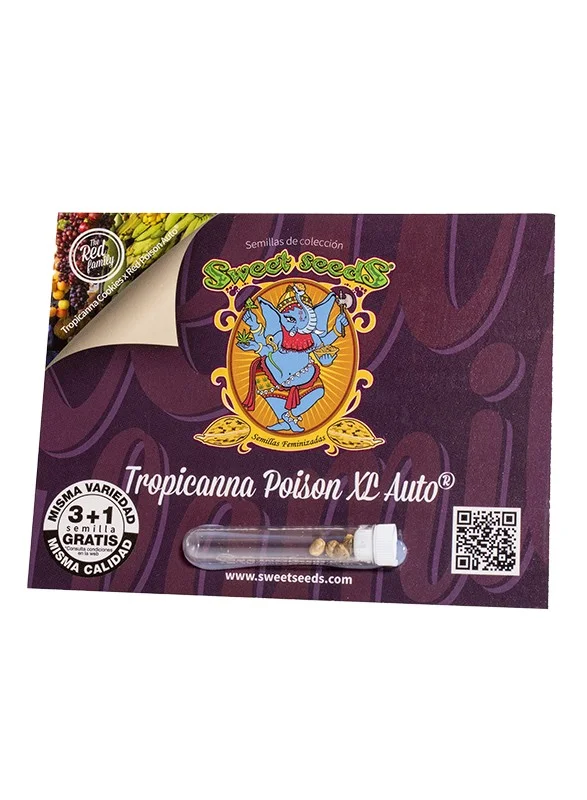 Auto Tropicanna Poison XL ® 3 tropicanna poison xl auto 1