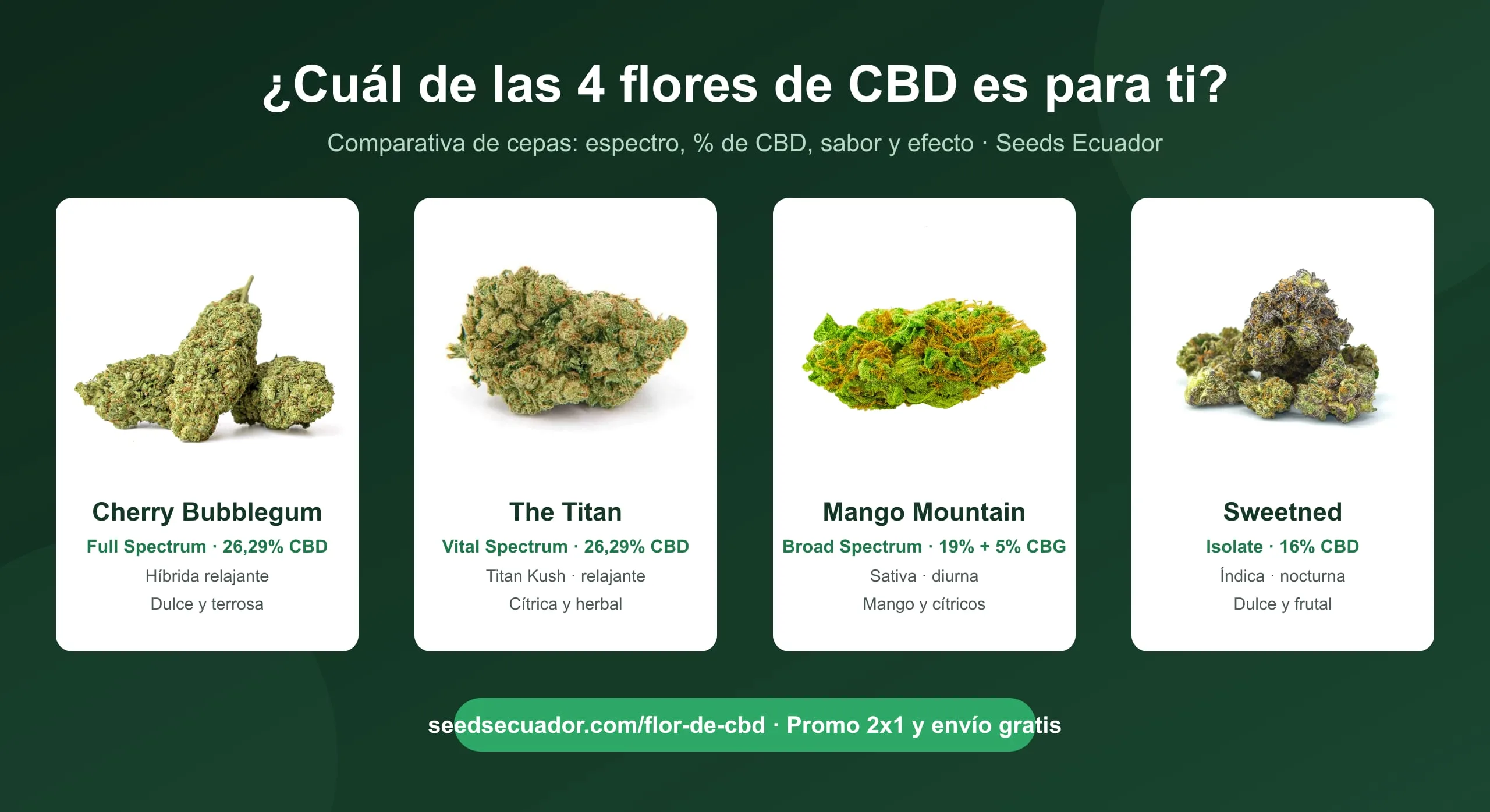 Comparativa de las 4 flores de CBD de Seeds Ecuador: Cherry Bubblegum, The Titan, Mango Mountain y Sweetned con espectro, porcentaje de CBD y perfil