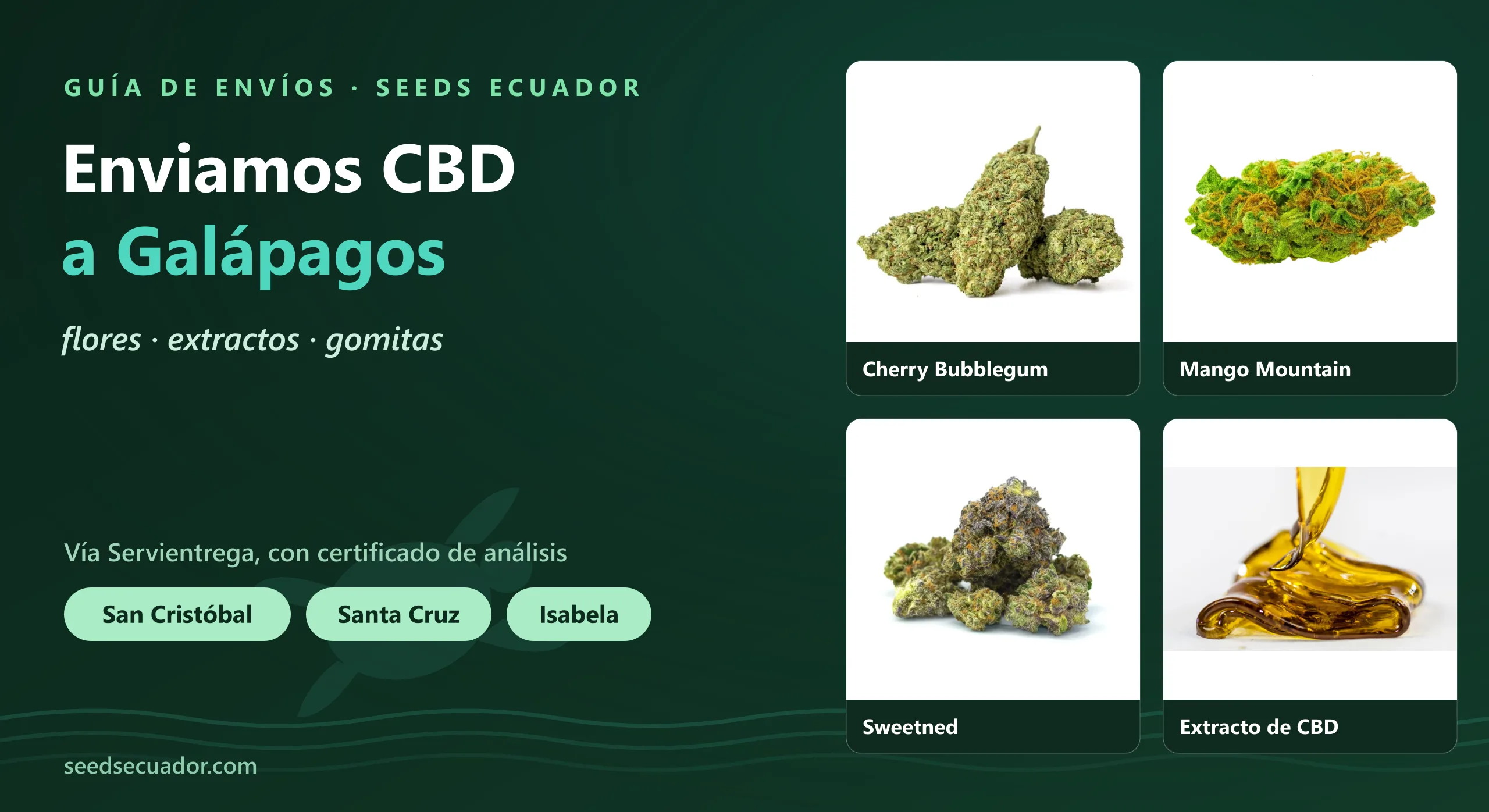 Portada de la guía de envíos de CBD a Galápagos de Seeds Ecuador con las flores Cherry Bubblegum, Mango Mountain y Sweetned y el extracto de CBD, envío vía Servientrega a San Cristóbal, Santa Cruz e Isabela