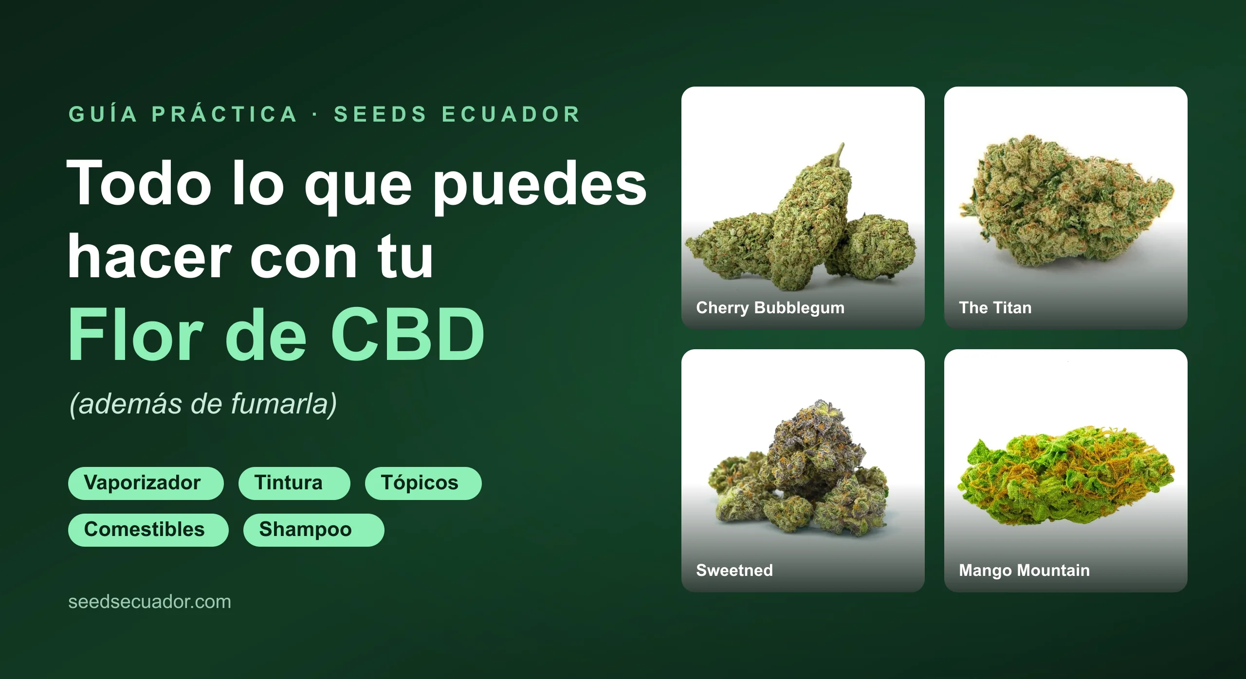 Usos de la flor de CBD: vaporizador, tintura, tópicos y comestibles con las cepas Cherry Bubblegum, The Titan, Sweetned y Mango Mountain