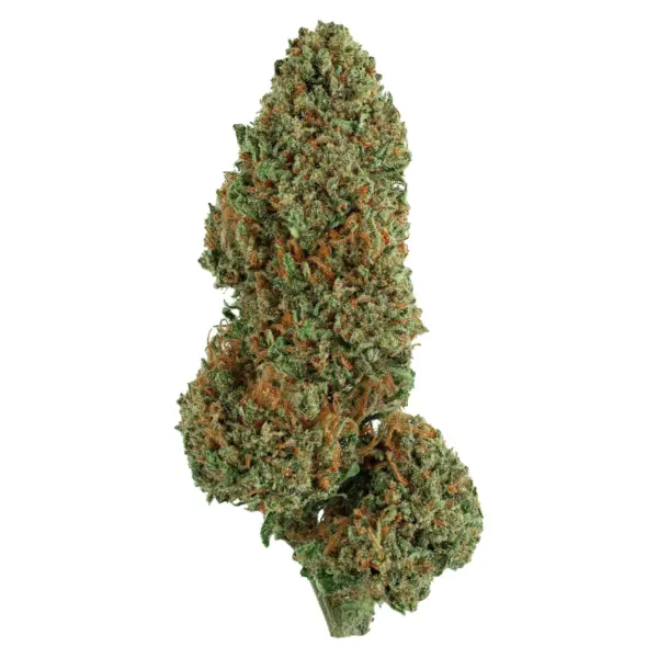 Cogollo de flor CBG Lemon G sobre fondo blanco, verde claro con pistilos naranjas, 16% CBG y 9% CBD