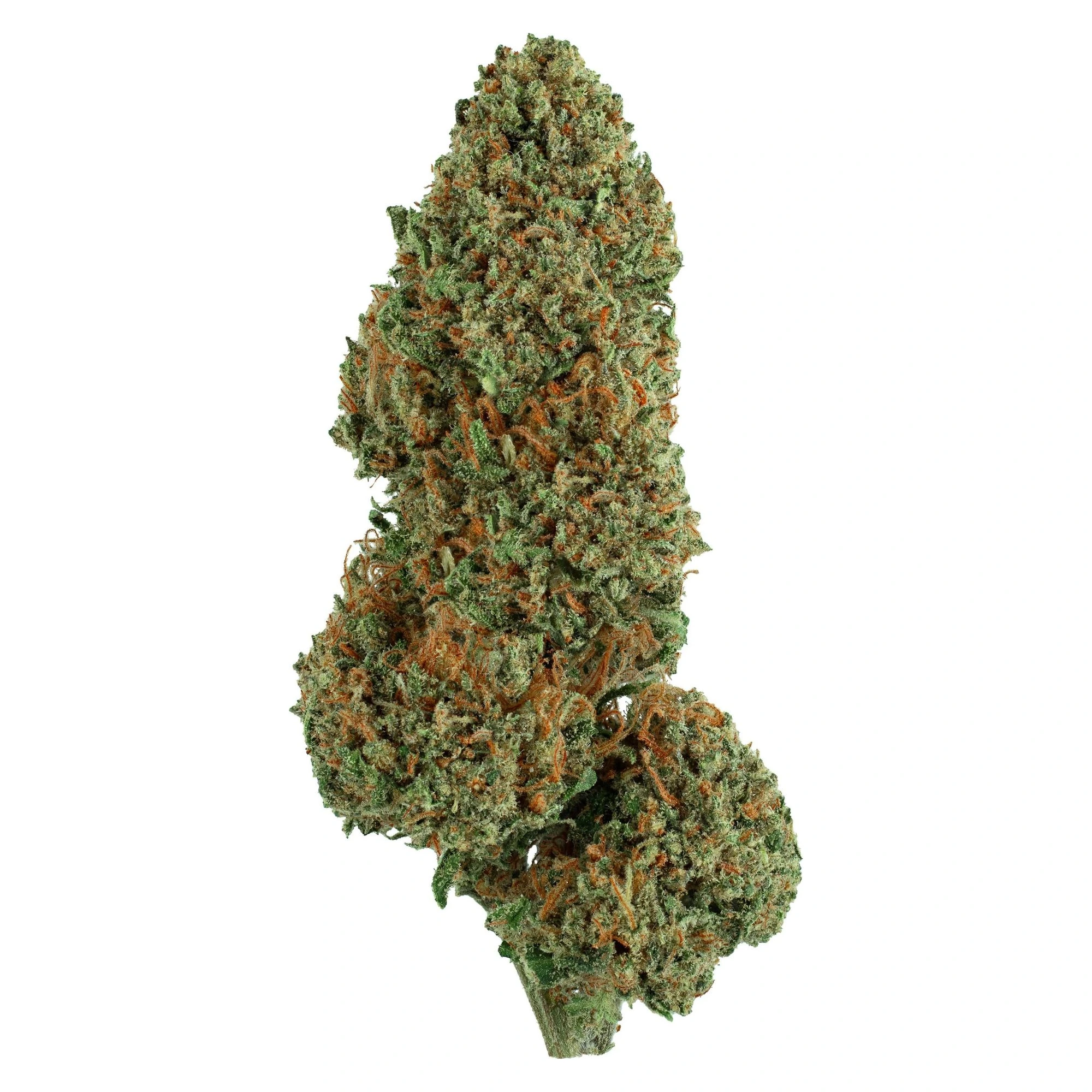 Flor CBG Lemon G | CBG Dominante 16% + CBD 9% 1 Cogollo de flor CBG Lemon G sobre fondo blanco, verde claro con pistilos naranjas, 16% CBG y 9% CBD